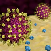 A New Multiplexed SARS-CoV-2 Serological Assay Using Advanced Flow Cytometry A New Multiplexed SARS-CoV-2 Serological Assay Using Advanced Flow Cytometry
